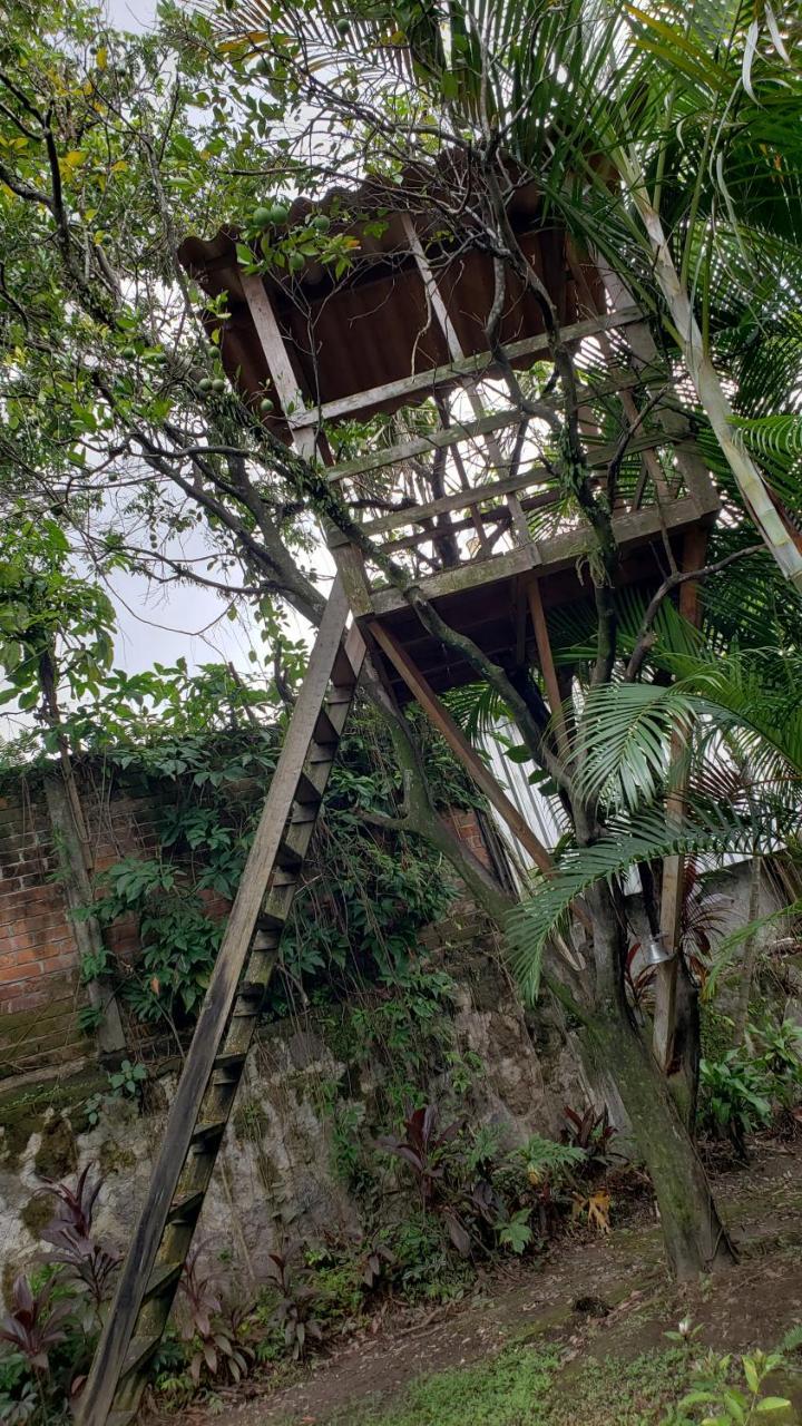 Domus Hotel サンサルバドル エクステリア 写真