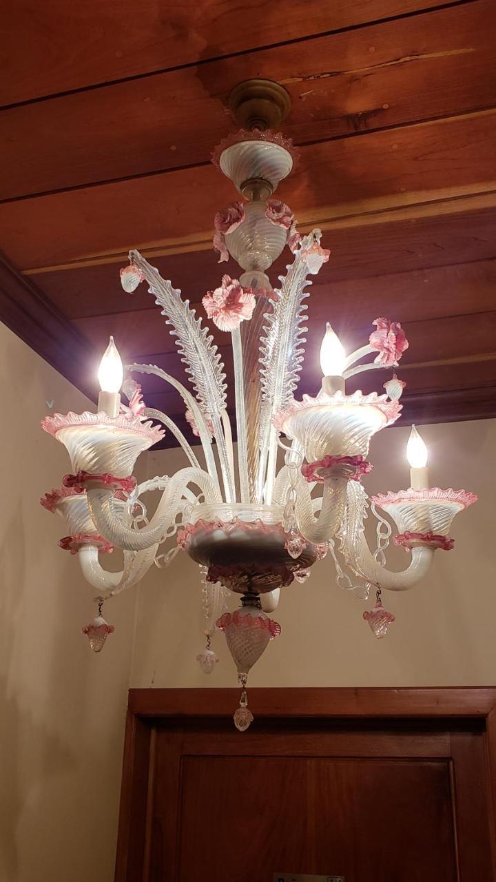 Domus Hotel サンサルバドル エクステリア 写真