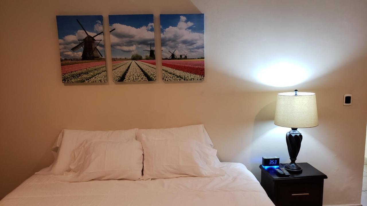 Domus Hotel サンサルバドル エクステリア 写真