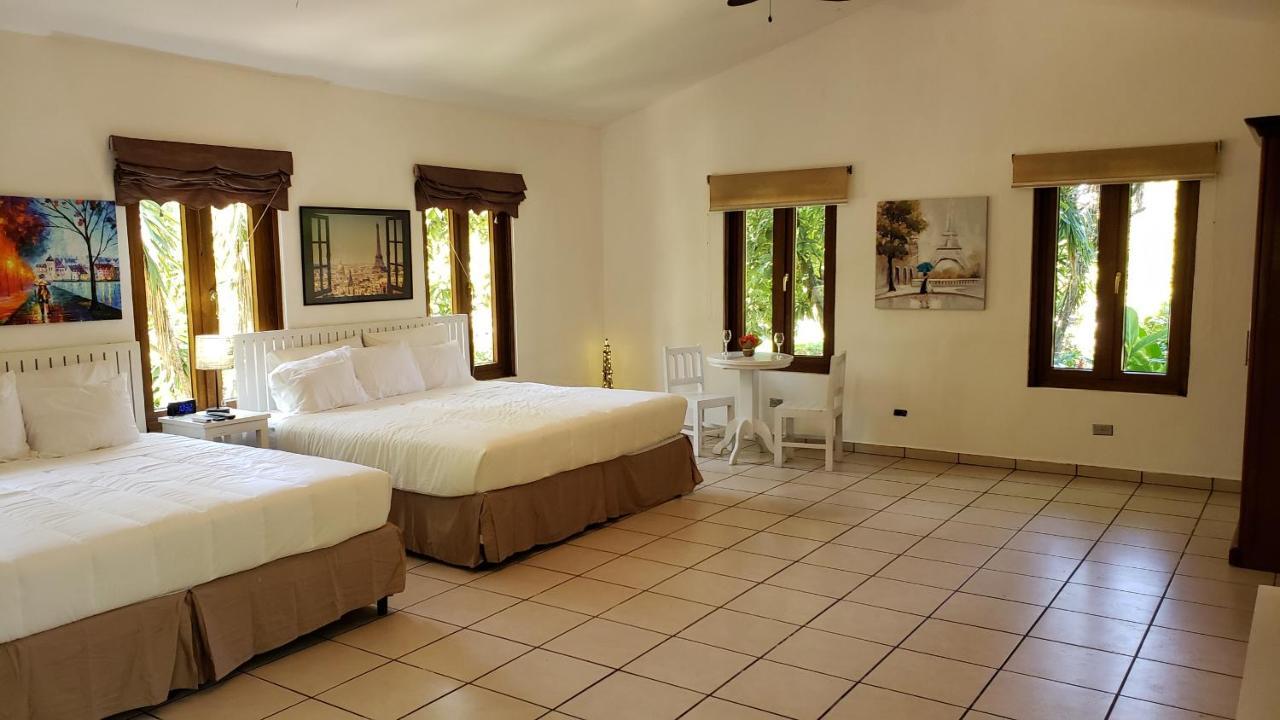 Domus Hotel サンサルバドル エクステリア 写真