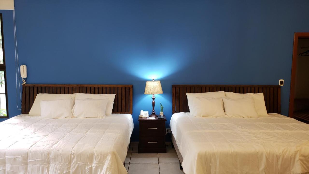 Domus Hotel サンサルバドル エクステリア 写真